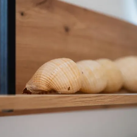 Apartman Kudelik *
